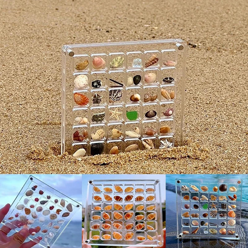 Seashell Display Box 🐚 🪸