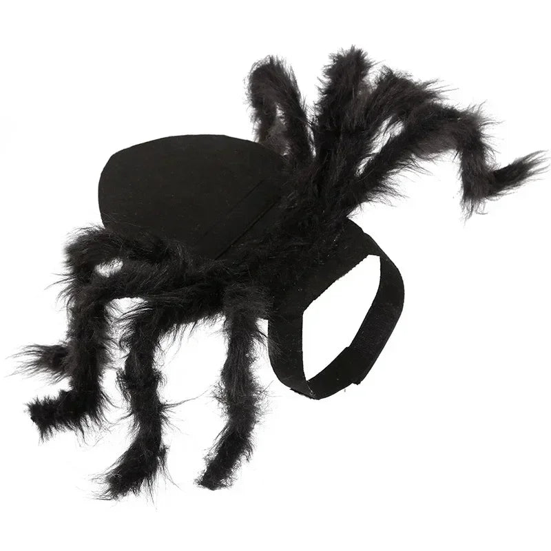 Creepy Crawly Pet Costumes 🕷️🐛