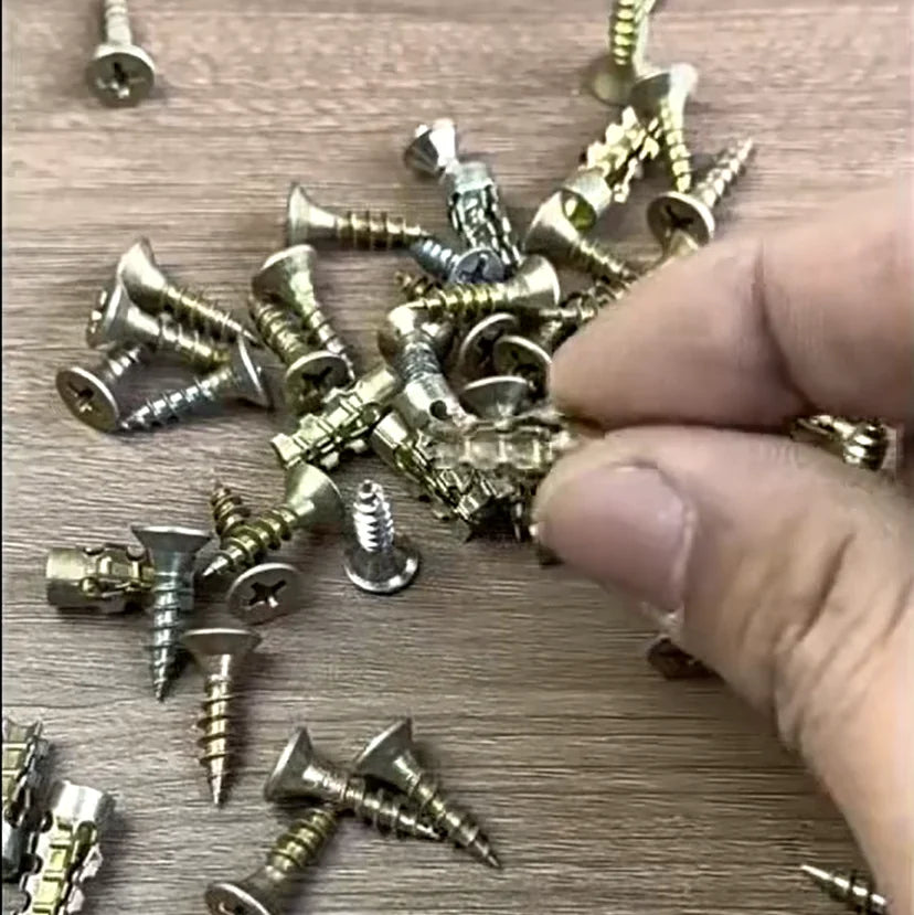 Expansion Anchor Screws 🔩