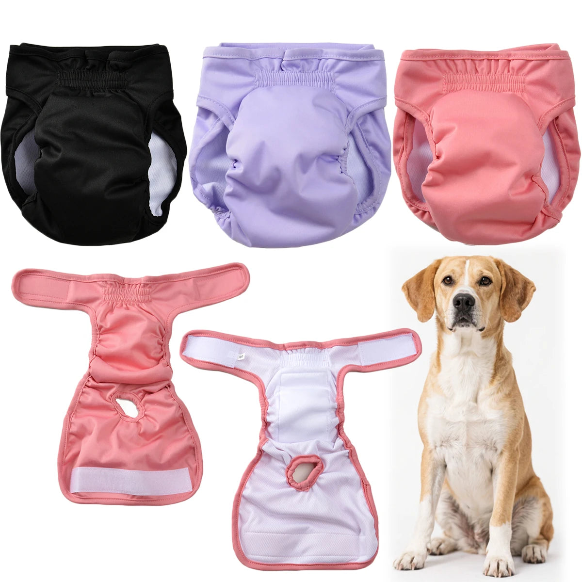 Washable & Reusable Dog Diapers 🐾