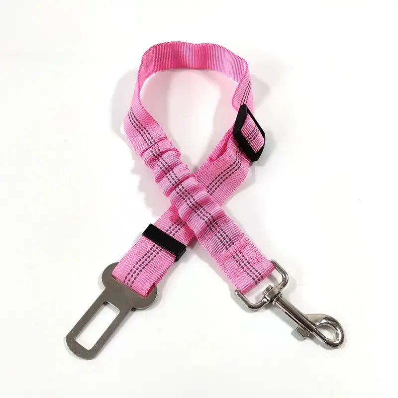 🐾 PawSecure Car Tether 🚗🐶
