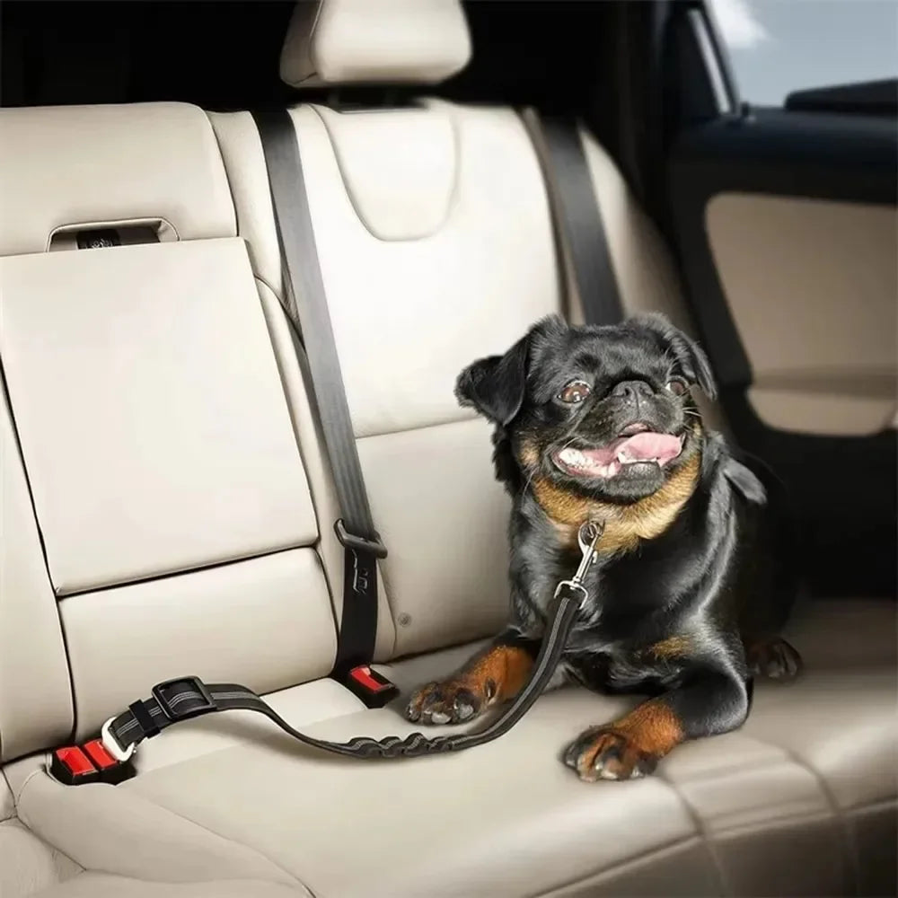🐾 PawSecure Car Tether 🚗🐶