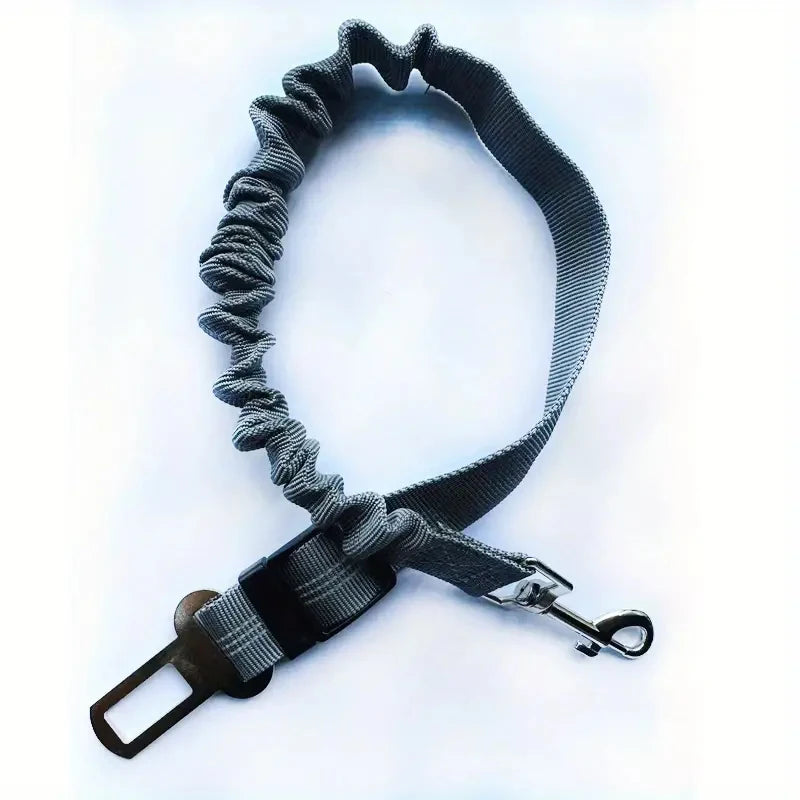 🐾 PawSecure Car Tether 🚗🐶