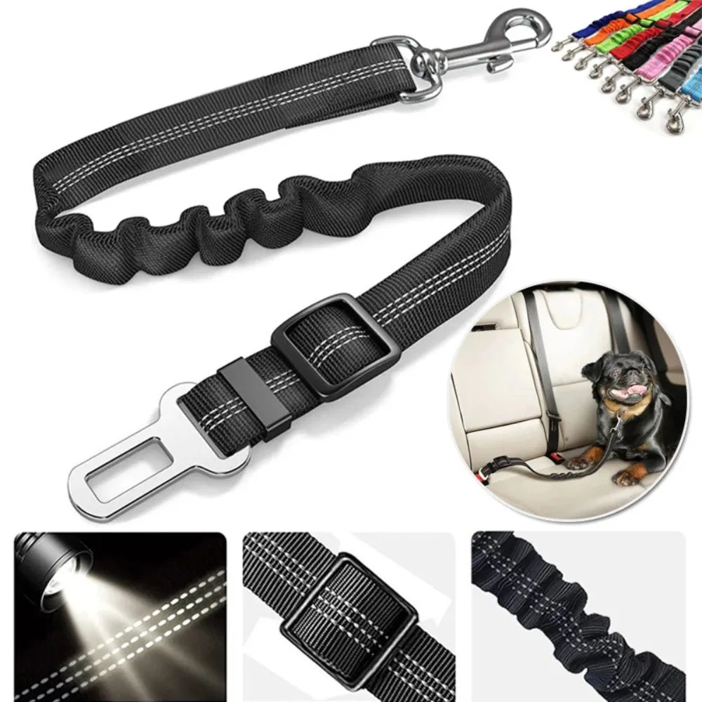 🐾 PawSecure Car Tether 🚗🐶