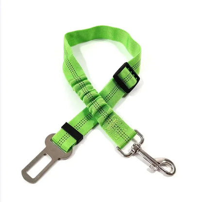 🐾 PawSecure Car Tether 🚗🐶