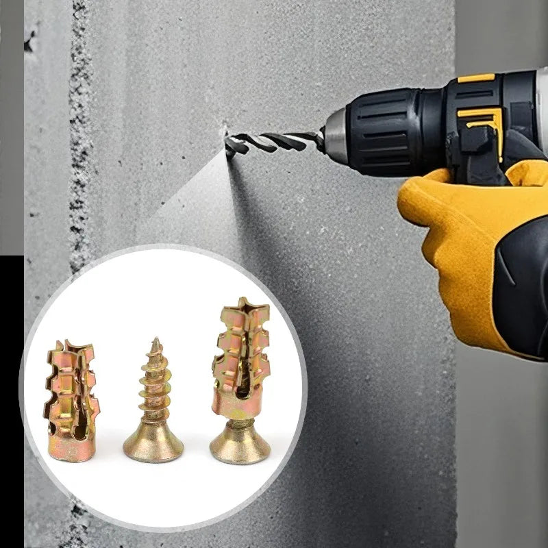 Expansion Anchor Screws 🔩