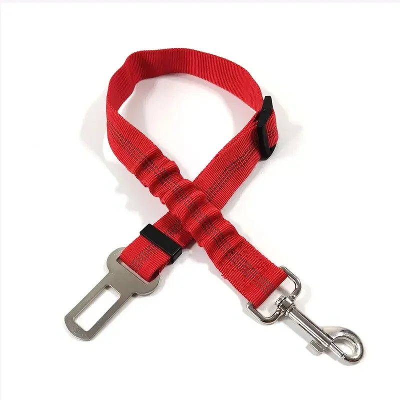 🐾 PawSecure Car Tether 🚗🐶