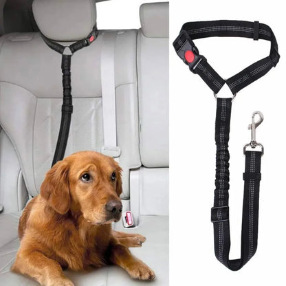 🐾 PawSecure Car Tether 🚗🐶
