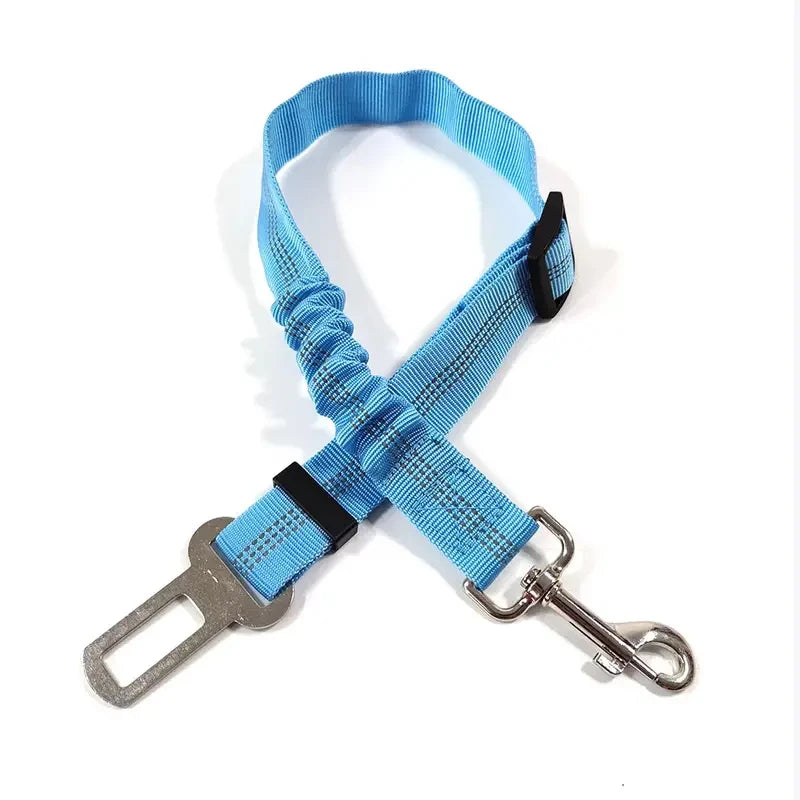 🐾 PawSecure Car Tether 🚗🐶