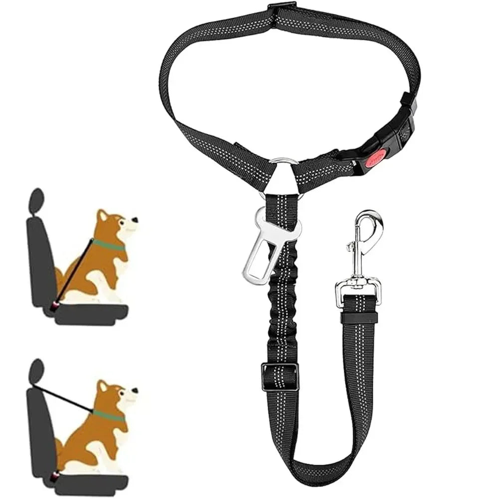 🐾 PawSecure Car Tether 🚗🐶