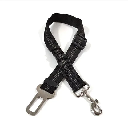 🐾 PawSecure Car Tether 🚗🐶