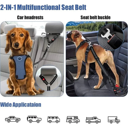 🐾 PawSecure Car Tether 🚗🐶