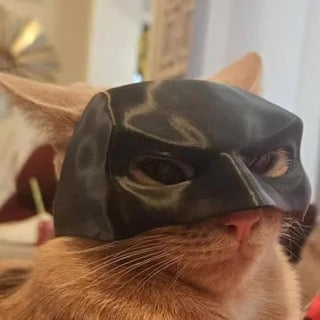 Fledermauskatzenmaske 🐱 🦇