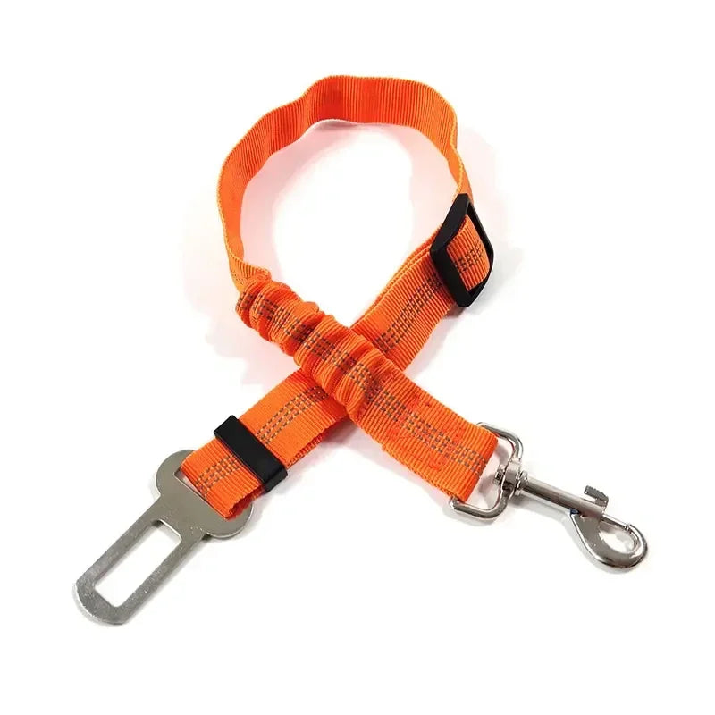 🐾 PawSecure Car Tether 🚗🐶