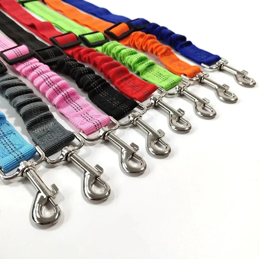 🐾 PawSecure Car Tether 🚗🐶