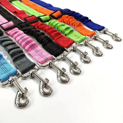 🐾 PawSecure Car Tether 🚗🐶