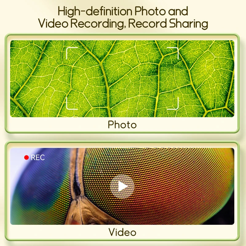 MiniScope Explorer 🔍