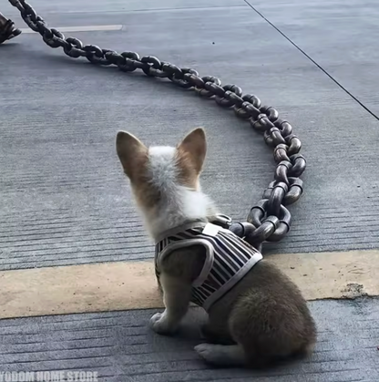 Big Dawg™ Giant Chain Dog Leash 🐕⛓️