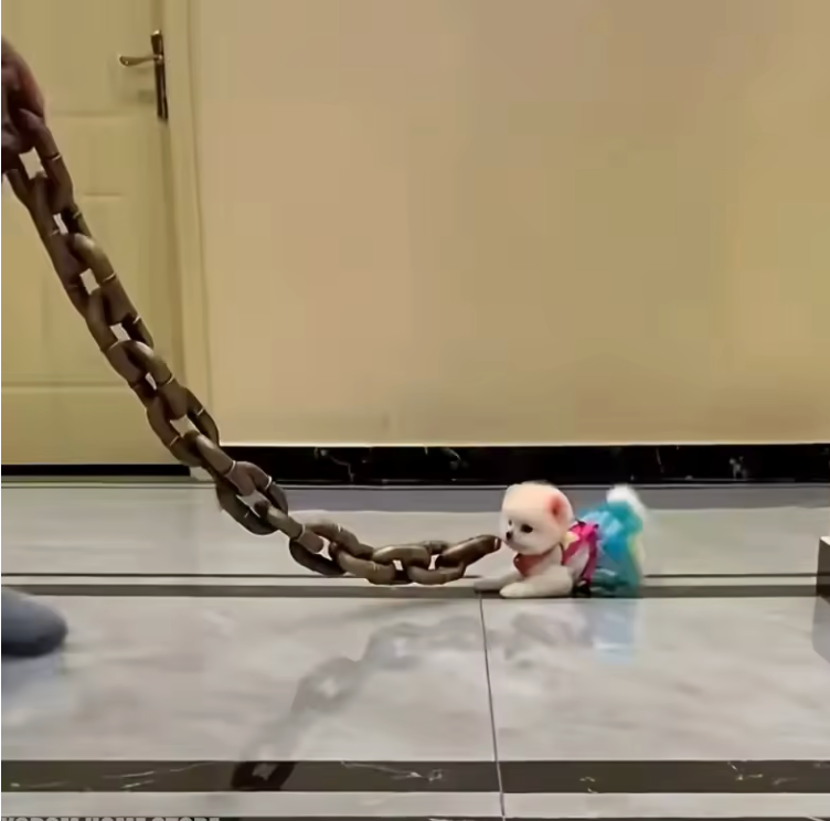 Big Dawg™ Giant Chain Dog Leash 🐕⛓️