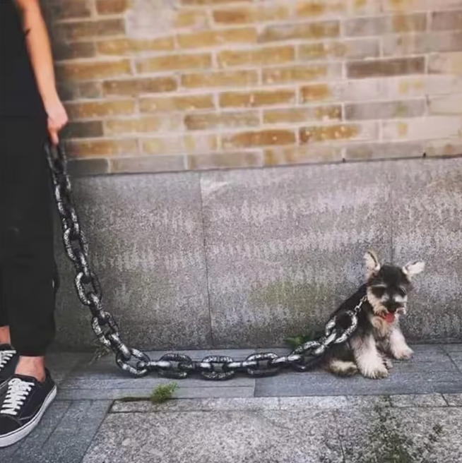 Big Dawg™ Giant Chain Dog Leash 🐕⛓️