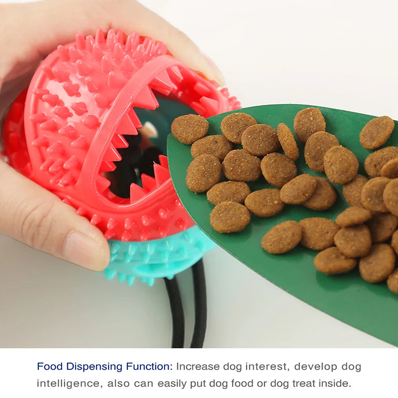 Suction Cup Rope Dog Toy/Treat Feeder 🦴 (For Large Dogs)