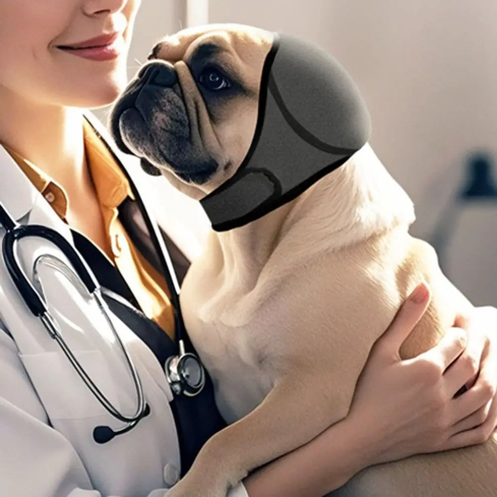 CalmPup™ 🐶 Noise Reduction Dog Ear Muffs