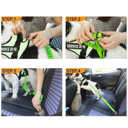 🐾 PawSecure Car Tether 🚗🐶