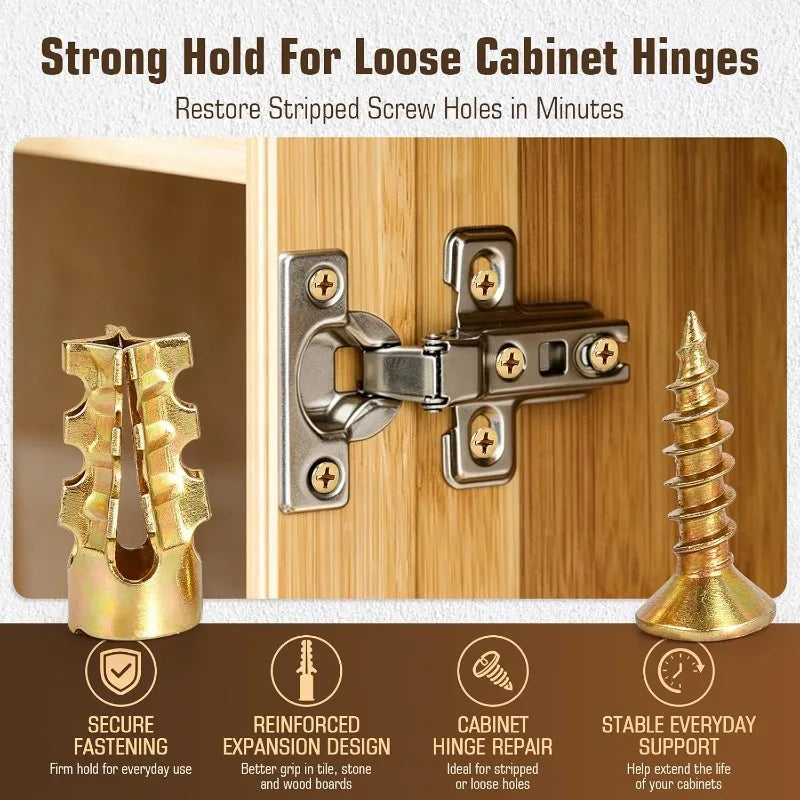 Expansion Anchor Screws 🔩