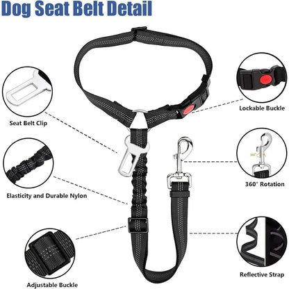 🐾 PawSecure Car Tether 🚗🐶