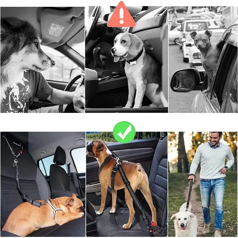 🐾 PawSecure Car Tether 🚗🐶