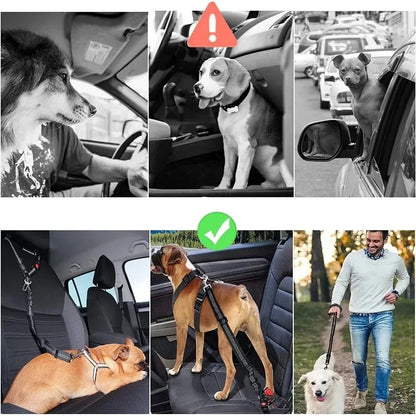 🐾 PawSecure Car Tether 🚗🐶
